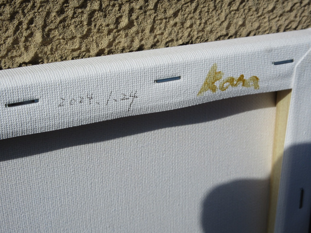 アクリル画 「流れ星」