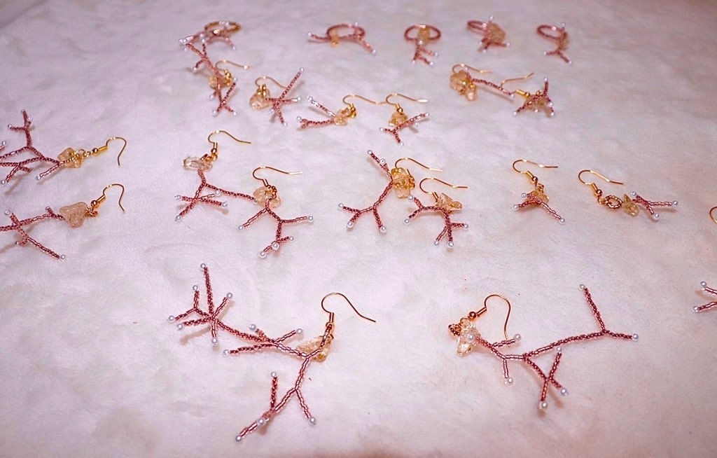 ✩͓̊線香花火の化石 ⋆͛*͛ ͙͛✧*̣̩⋆̩☽⋆゜⋆͛✶ リングとピアス✩͓̊