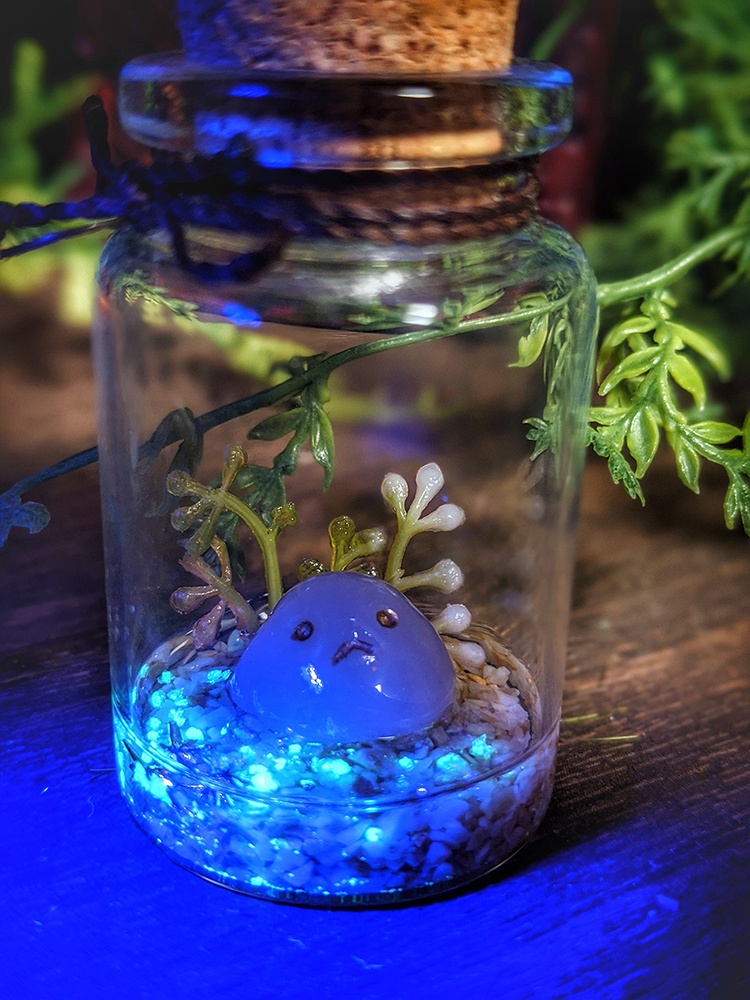 プチスライム飼育セット