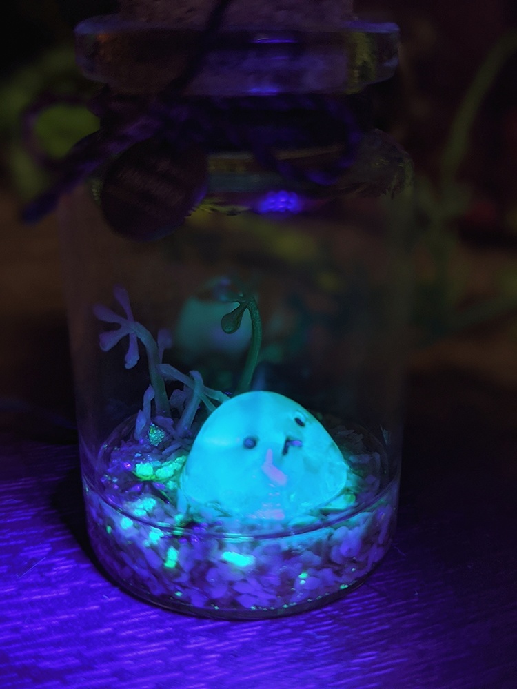 プチスライム飼育セット