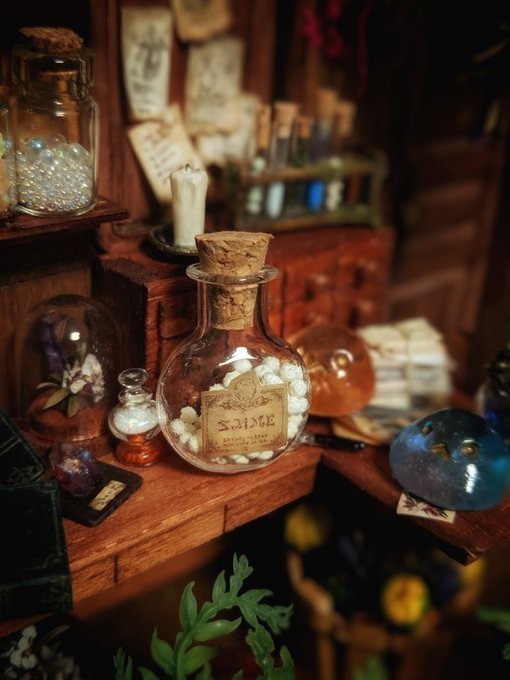 プチスライム飼育セット