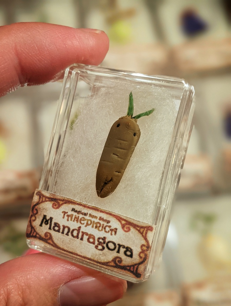 世界のマンドラゴラ