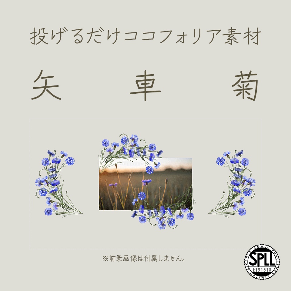 【無料/有料】タイマン2PL用ココフォリア素材・矢車菊【SPLL:E191313】