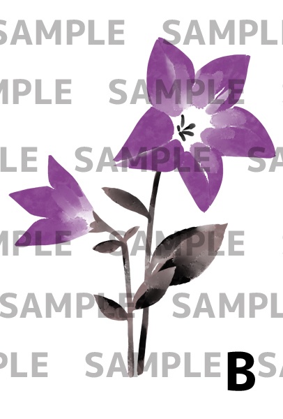 桔梗の墨絵イラスト(透過png)