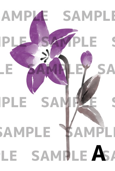 桔梗の墨絵イラスト(透過png)