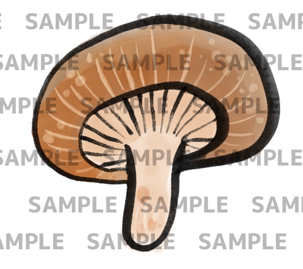 椎茸の墨絵デジタルイラスト(透過png)