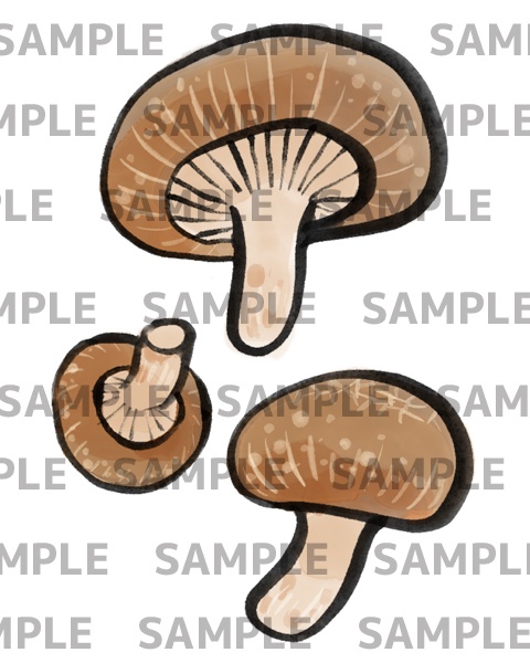 椎茸の墨絵デジタルイラスト(透過png)