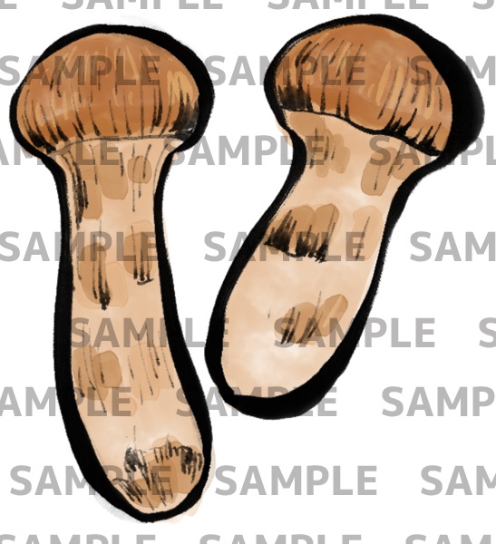 松茸の墨絵デジタルイラスト(透過png)