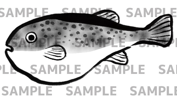 ふぐの水墨画デジタルイラスト(透過png)