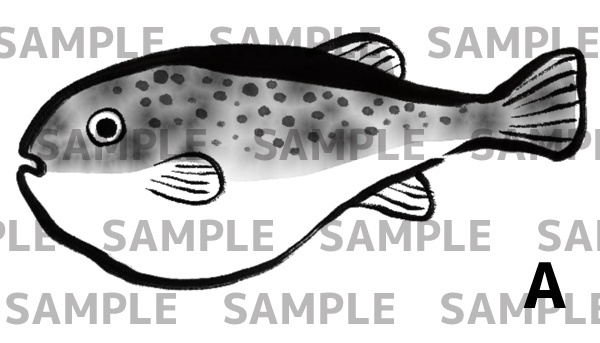 ふぐの水墨画デジタルイラスト(透過png)