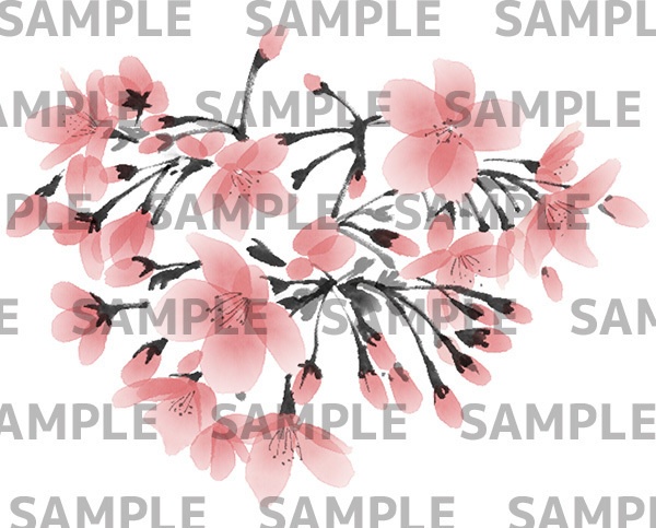 桜の水墨画デジタルイラスト(透過png)