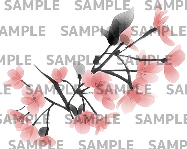 桜の水墨画デジタルイラスト(透過png)