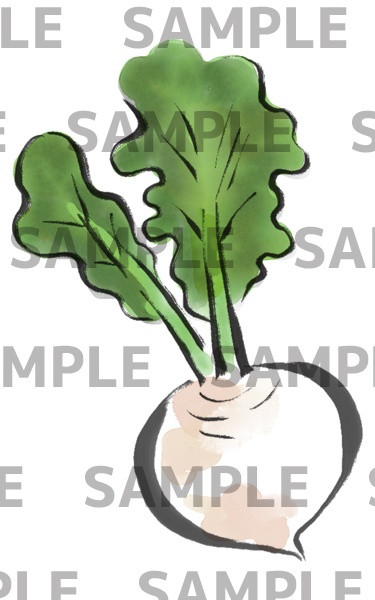 かぶの水墨画デジタルイラスト(透過png)