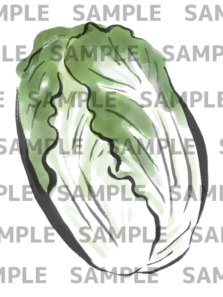 白菜の水墨画デジタルイラスト(透過png)