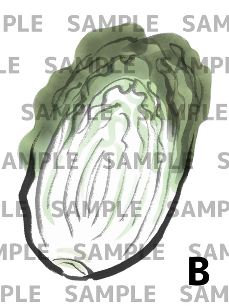 水墨 白菜 イラスト素材セット(PNG 透過)