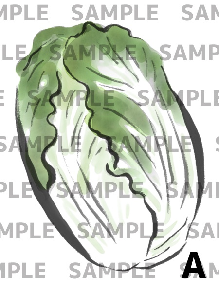 水墨　白菜　イラスト素材セット（PNG 透過）