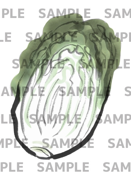 白菜の水墨画デジタルイラスト(透過png)