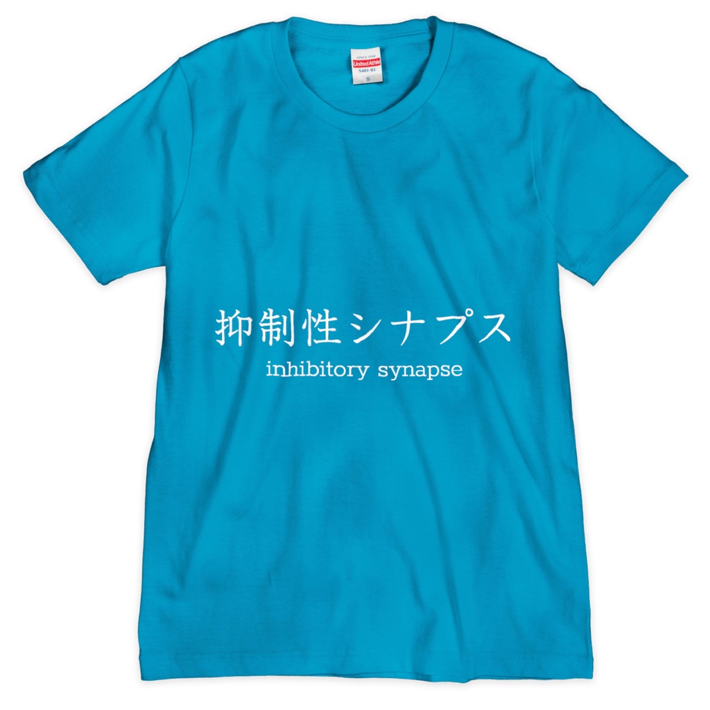 Tシャツ：抑制性シナプス