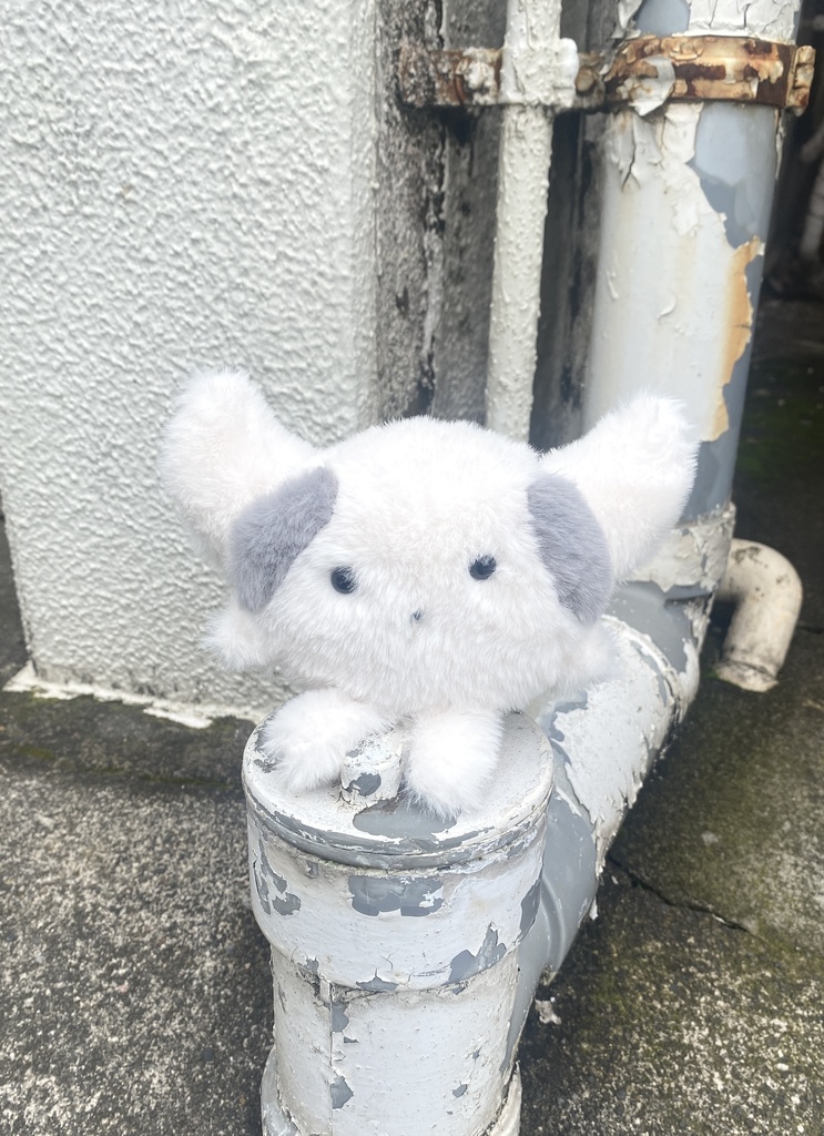 どこでもツノまゆまろ　しろいろ