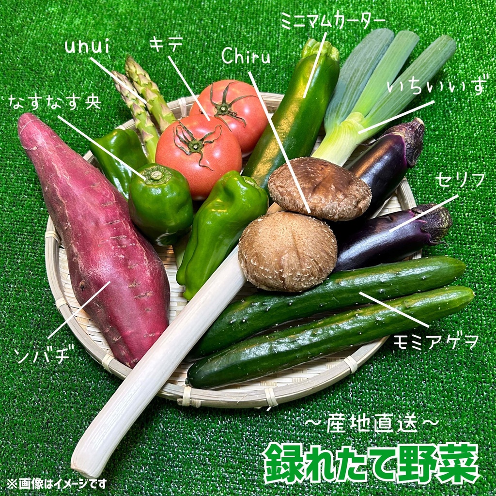 〜産地直送〜録れたて野菜