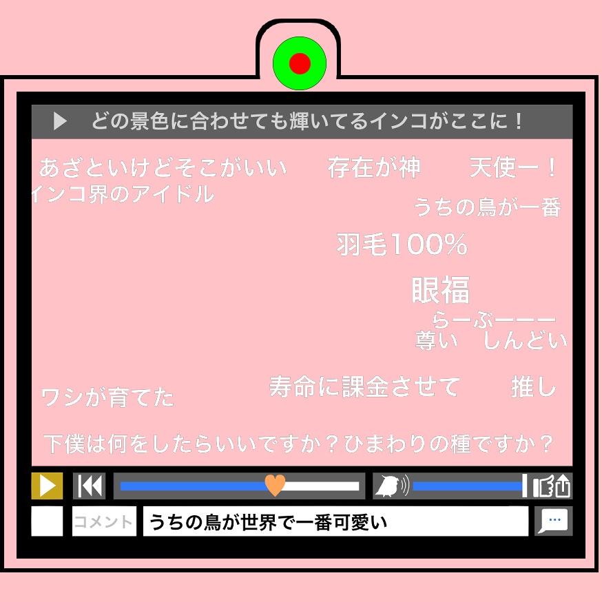 インコ万歳　アクキー　文字のみバージョン