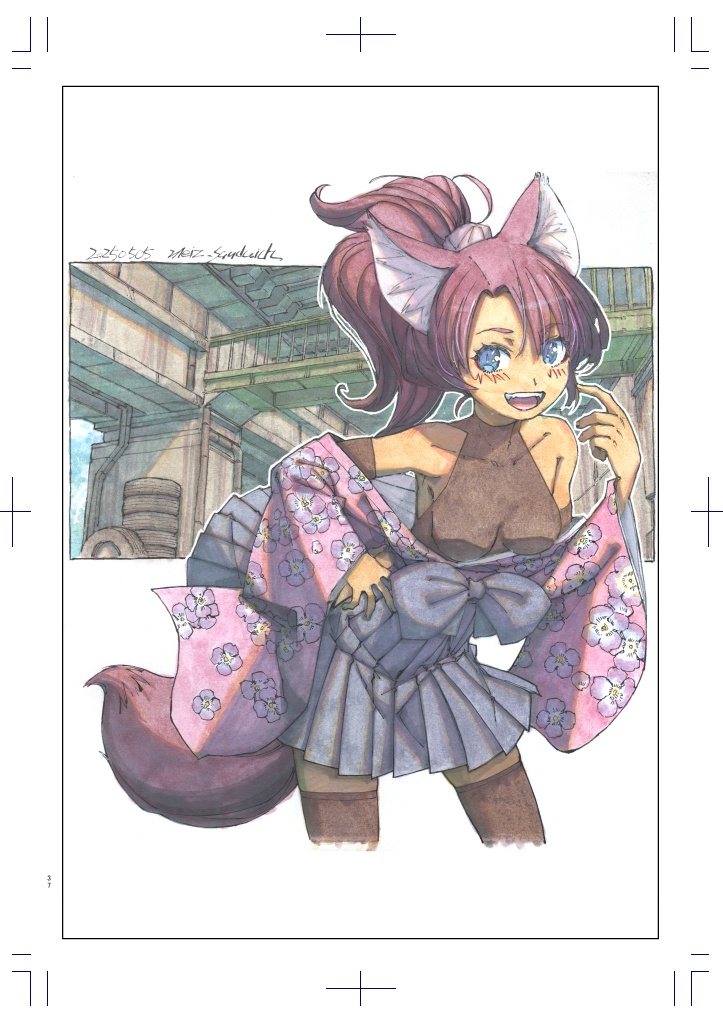 【本】meizイラスト資料集 アナログイラスト編13