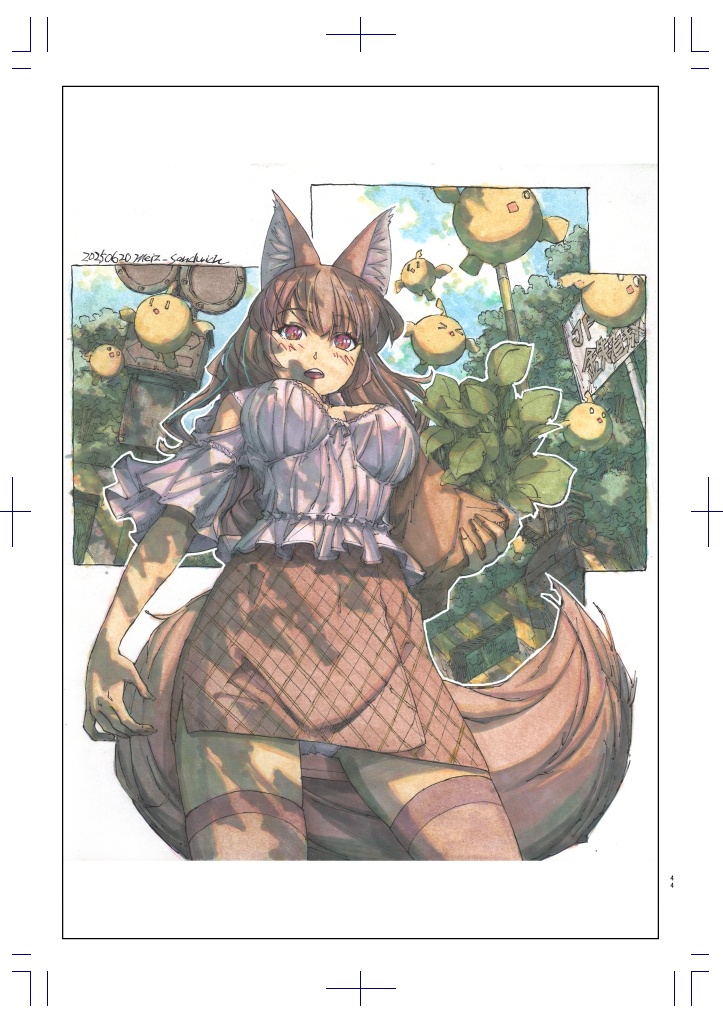 【本】meizイラスト資料集 アナログイラスト編13