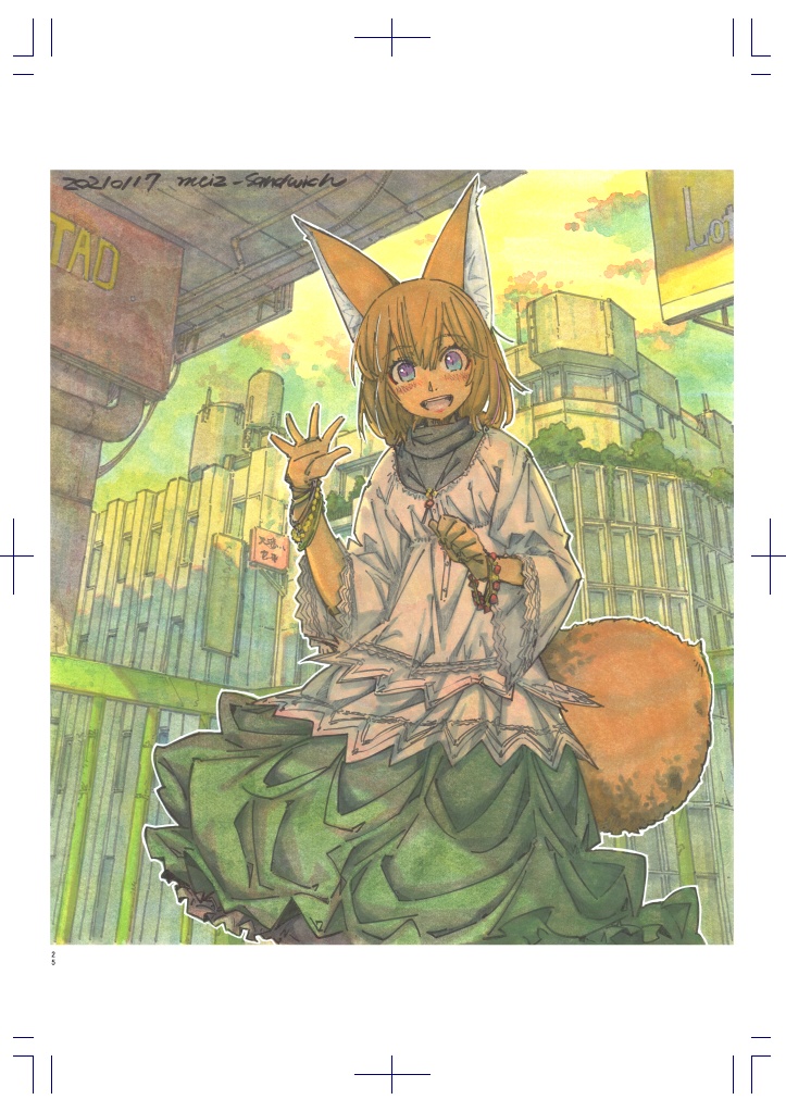 【イラストまとめ本】medicine effective in zeal 2