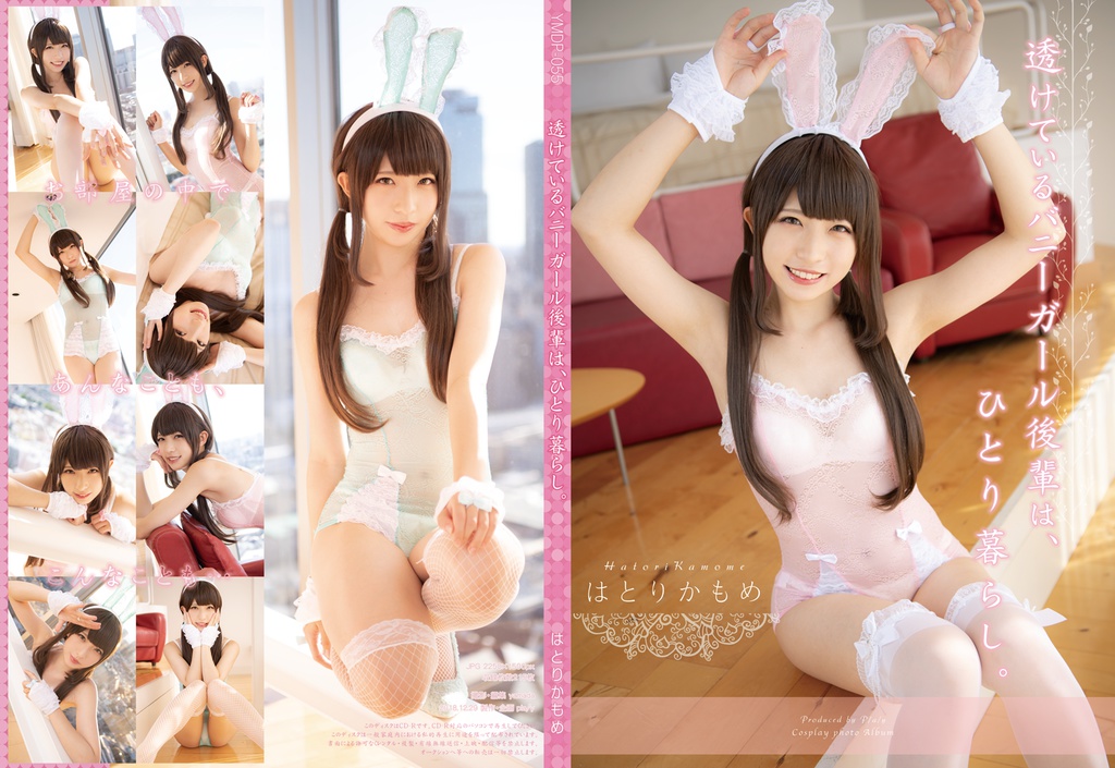 【C95新刊】はとりかもめ「透けているバニーガール後輩は、ひとり暮らし。」デジタル写真集