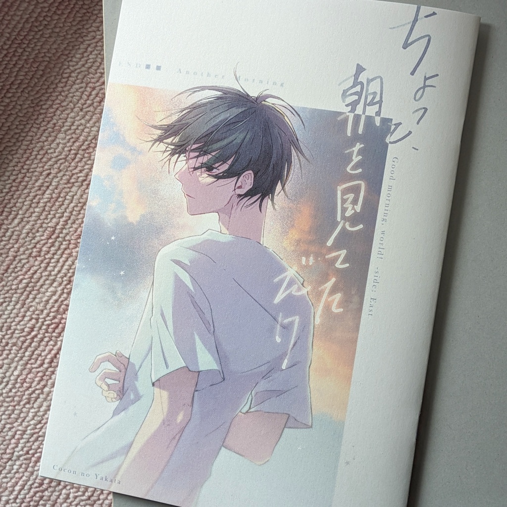 【完売】「ちょっと、朝を見てただけ/ちょっと、朝が見えただけ」冊子特装版