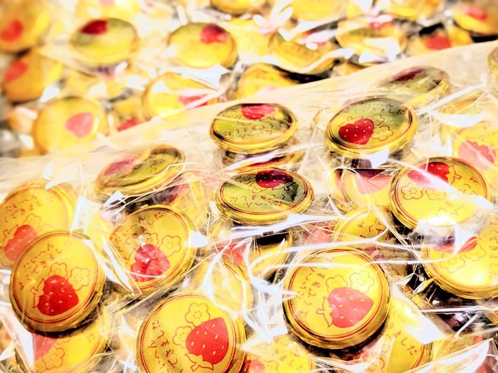 『みんなの大島探訪記』「こっちを向いてよ青海先生!!」記念読本