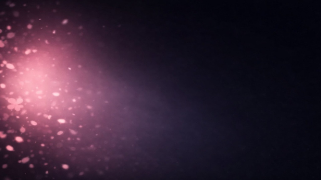 【無料あり】春 桜オーバーレイ(6色+ループ)|VTuber配信素材