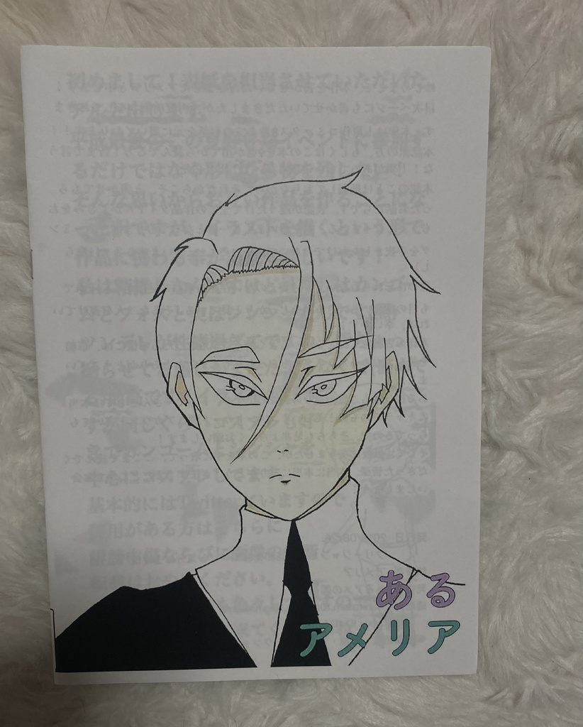 【在庫一掃につき最終頒布】宝石の国小説コピー本