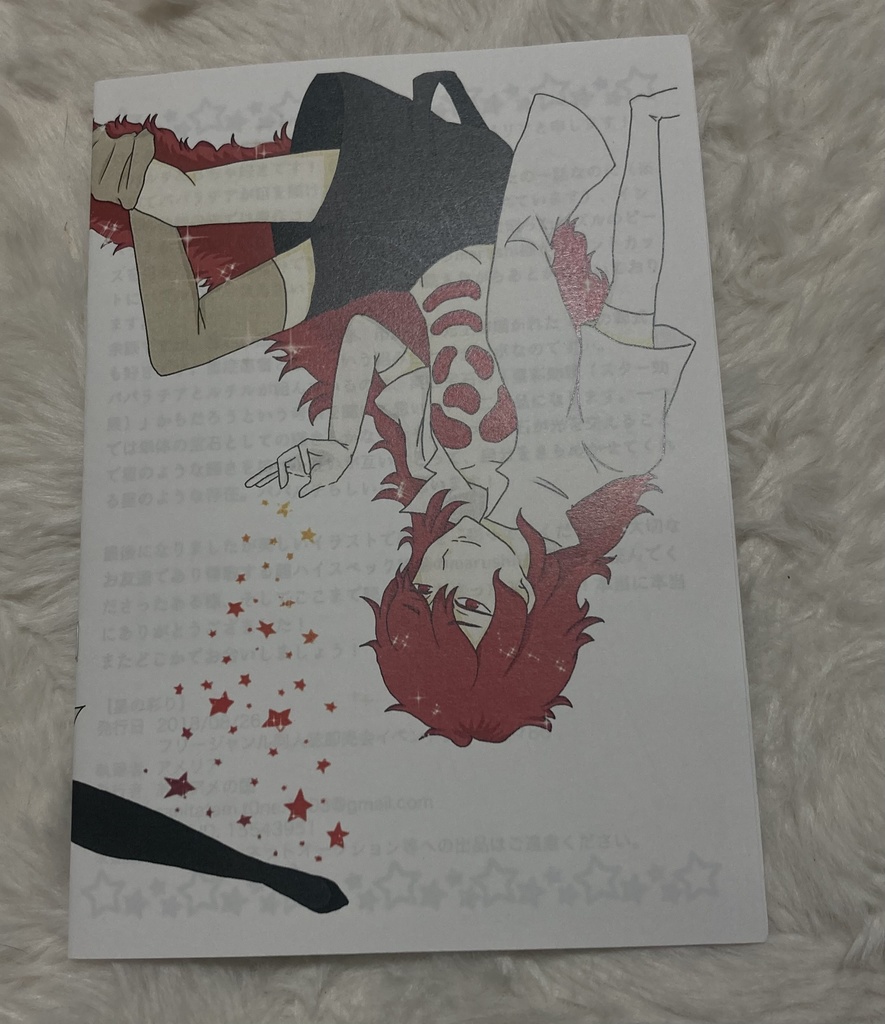 【在庫一掃につき最終頒布】宝石の国小説コピー本