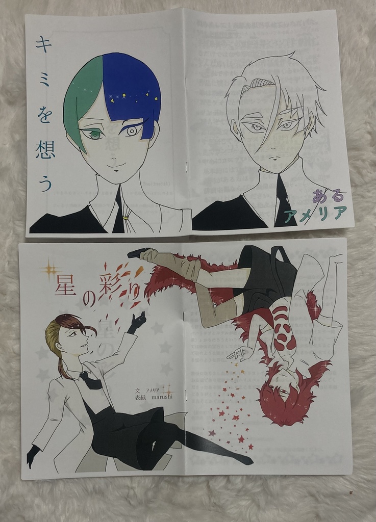 【在庫一掃につき最終頒布】宝石の国小説コピー本