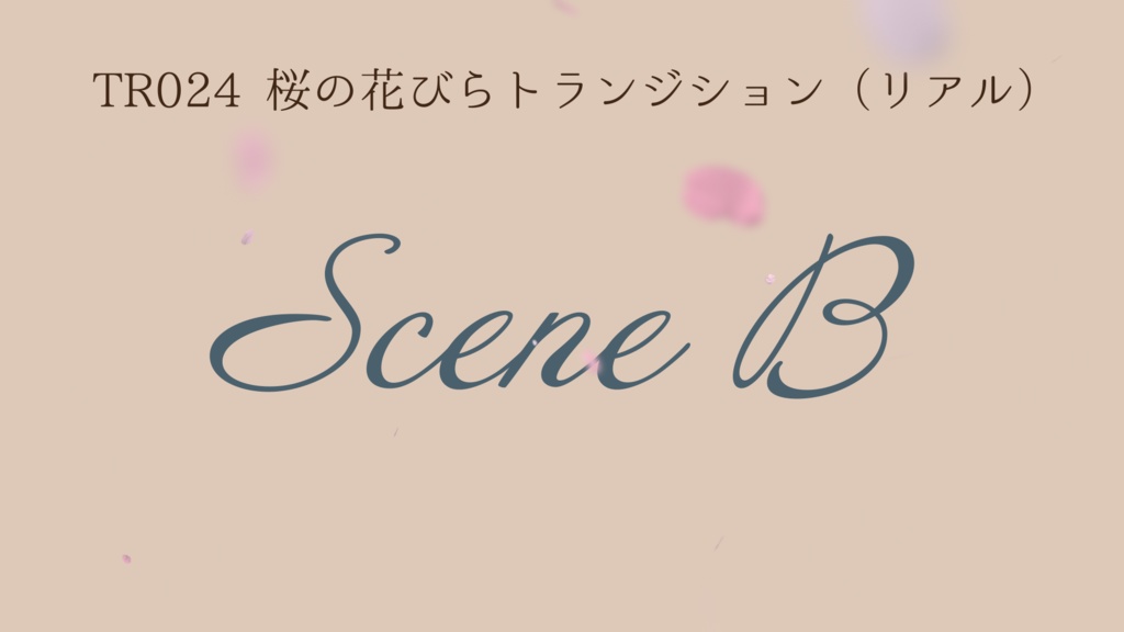 トランジション 桜の花びら(リアル)【動画素材】