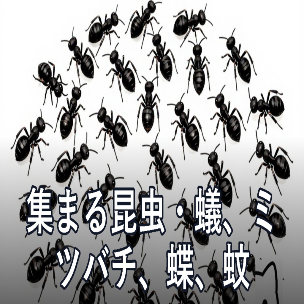 【無料】集まる昆虫、蟻、ミツバチ、蝶、蚊