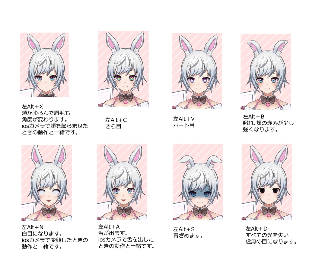 【Live2Dモデル】VTS対応ハンドトラッキング付き/ceramicbunnyちゃん