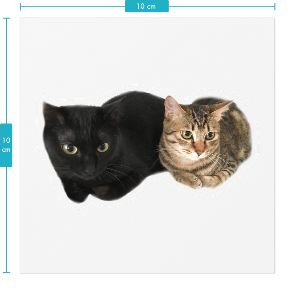 Cats - ステッカー