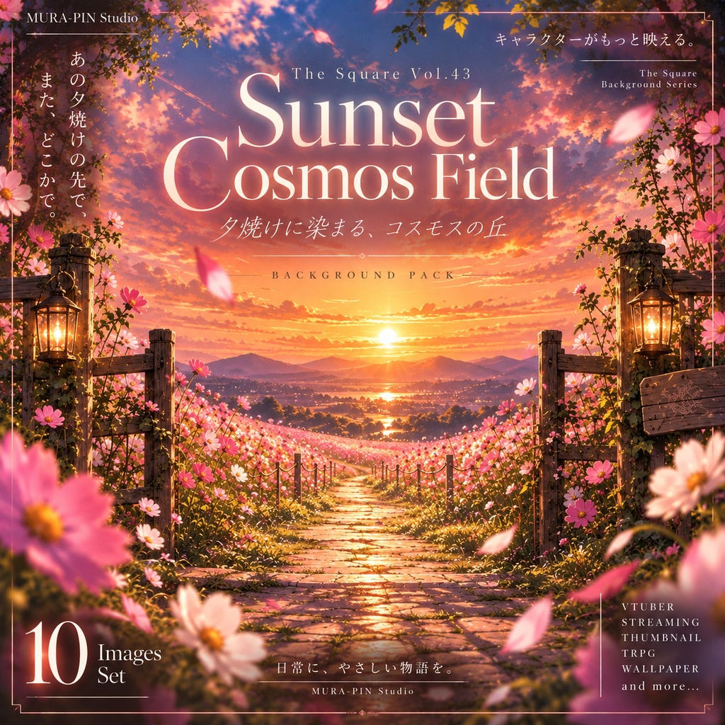 【夕焼けコスモスのエモーショナル花畑背景（配信・サムネ向け）・10枚 / 正方形】 The Square Vol.43 : Sunset Cosmos Field