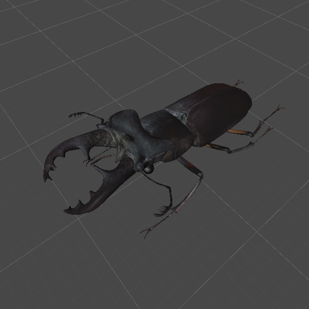 ミヤマクワガタ