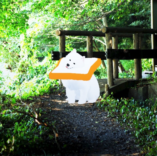 【此方対応】食パンエリザベスカラー