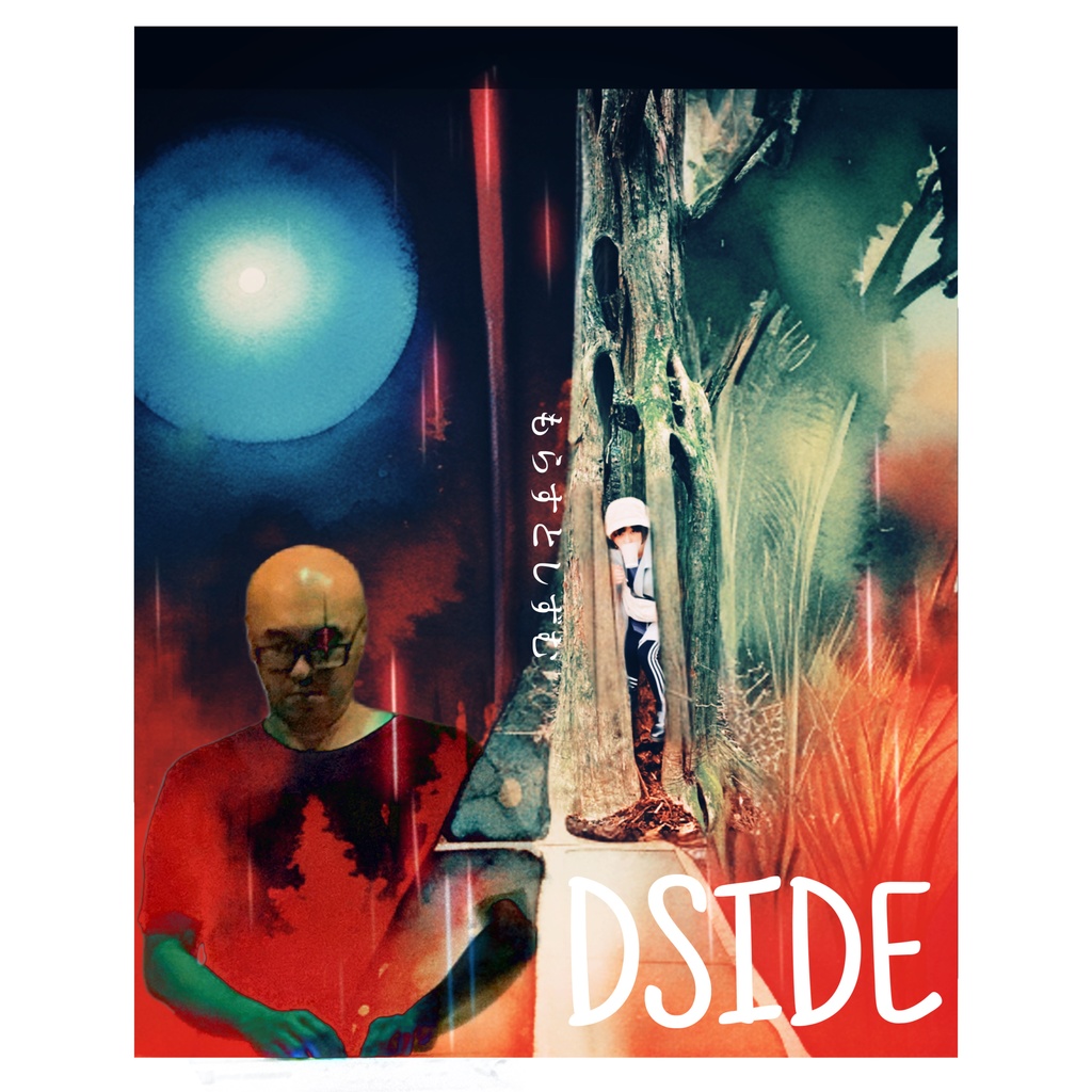 DSIDE