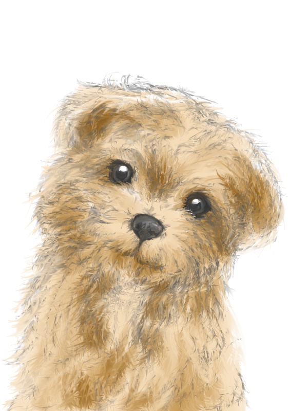 色々ピンバッジ