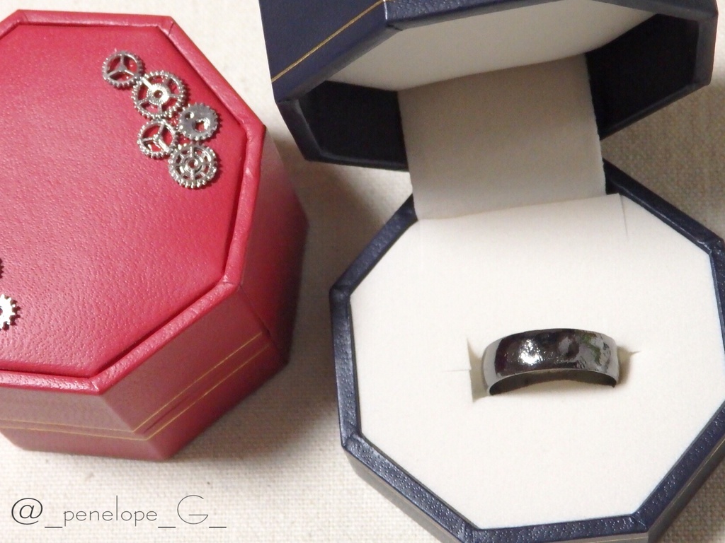 LosT-エミヤ・オルタ-リング