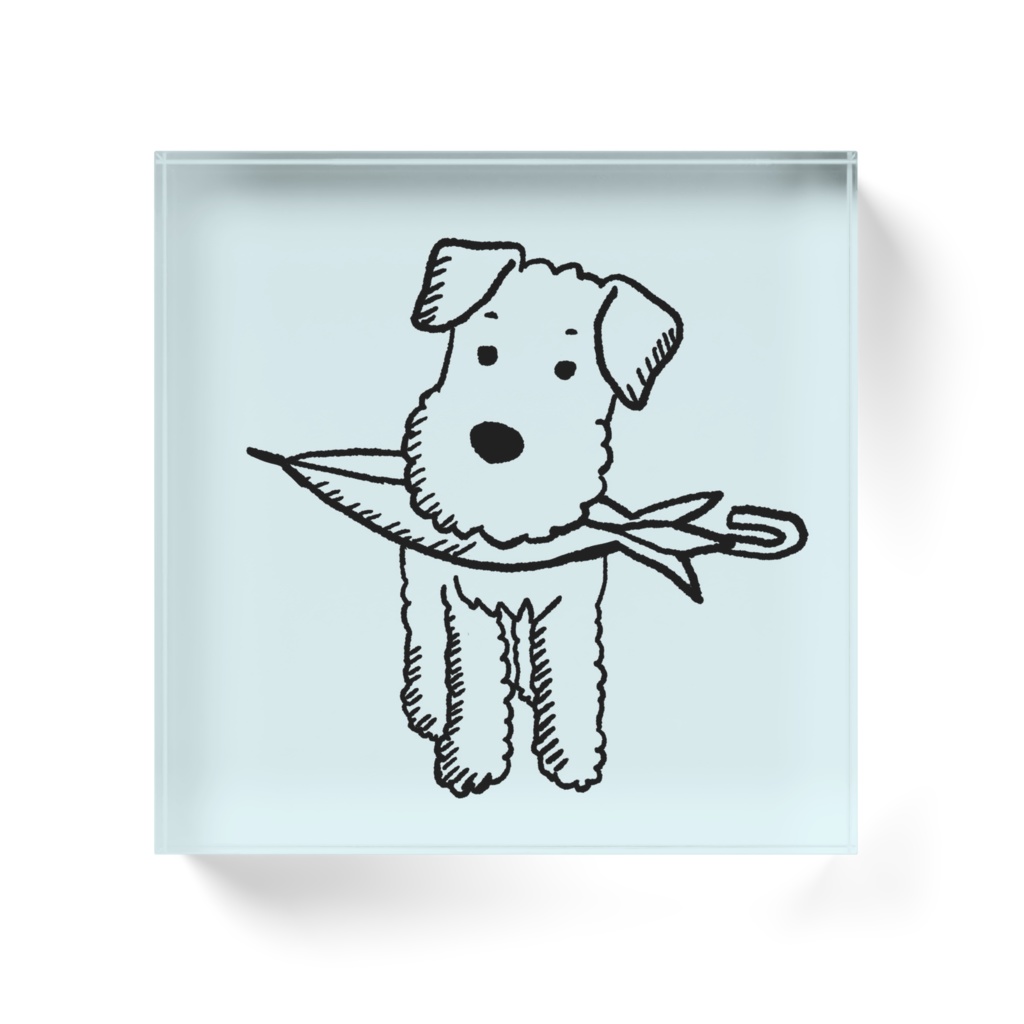 ウェルシュ 傘お届け