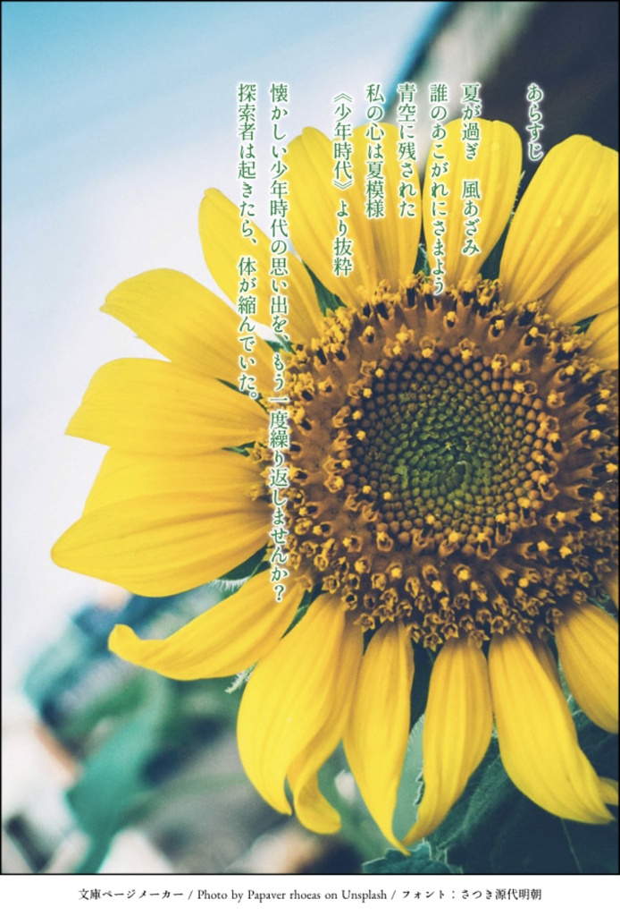 ぼくのなつやすみ