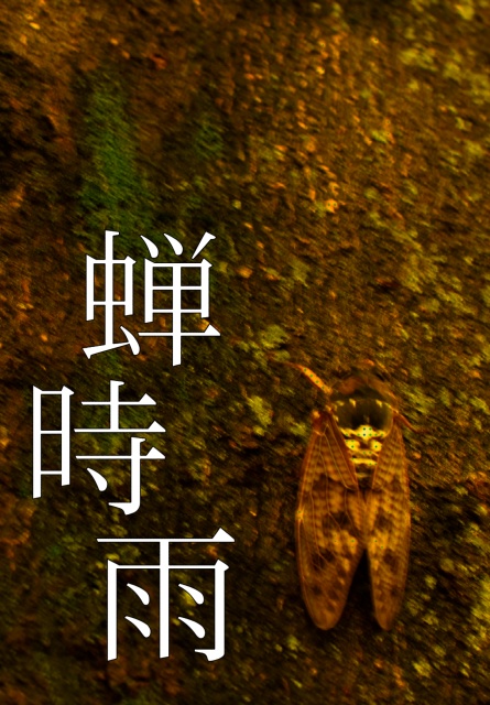 蝉時雨