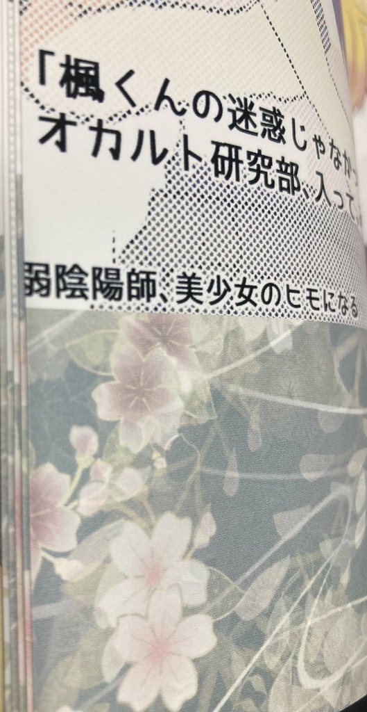 最弱陰陽師イラスト本
