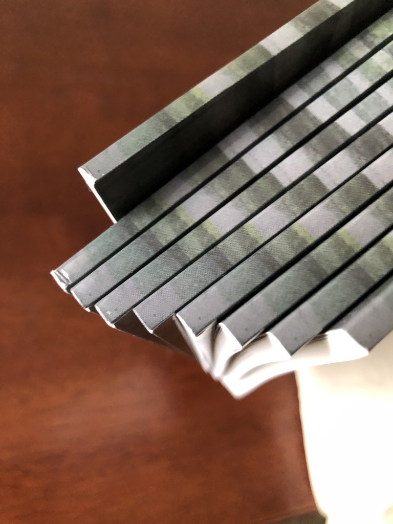 【お値引き品】美しいひと(くにちょぎ小説)